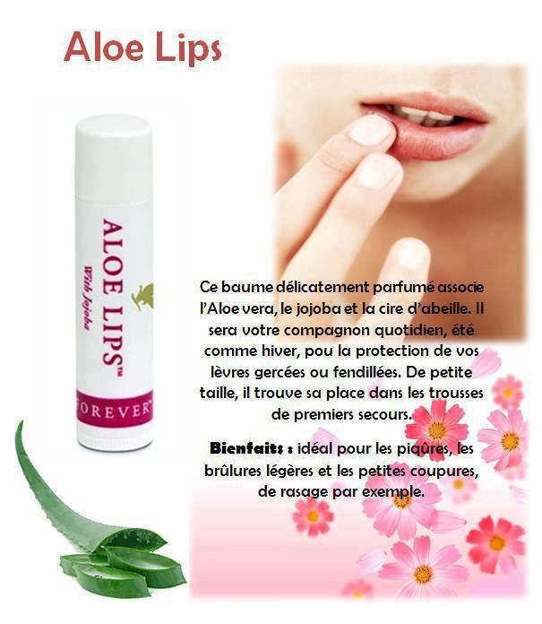 Imported Aloe Lips, Moisturizing Lip Balm with Aloe, Jojoba, and Beeswax, Vegan, Ultimate Lip Care - Image 2